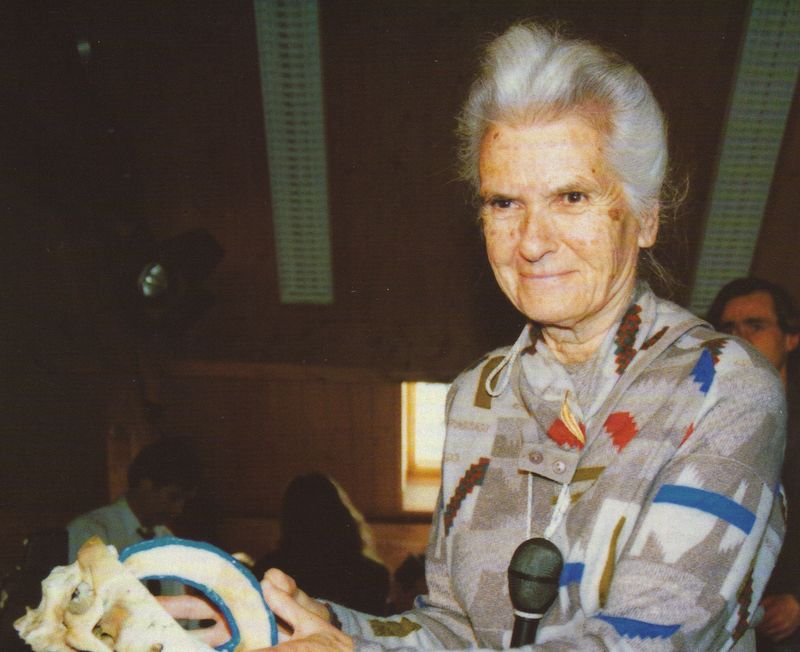 Viola Frymann 1991